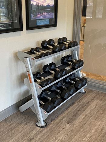 Free weights in gym